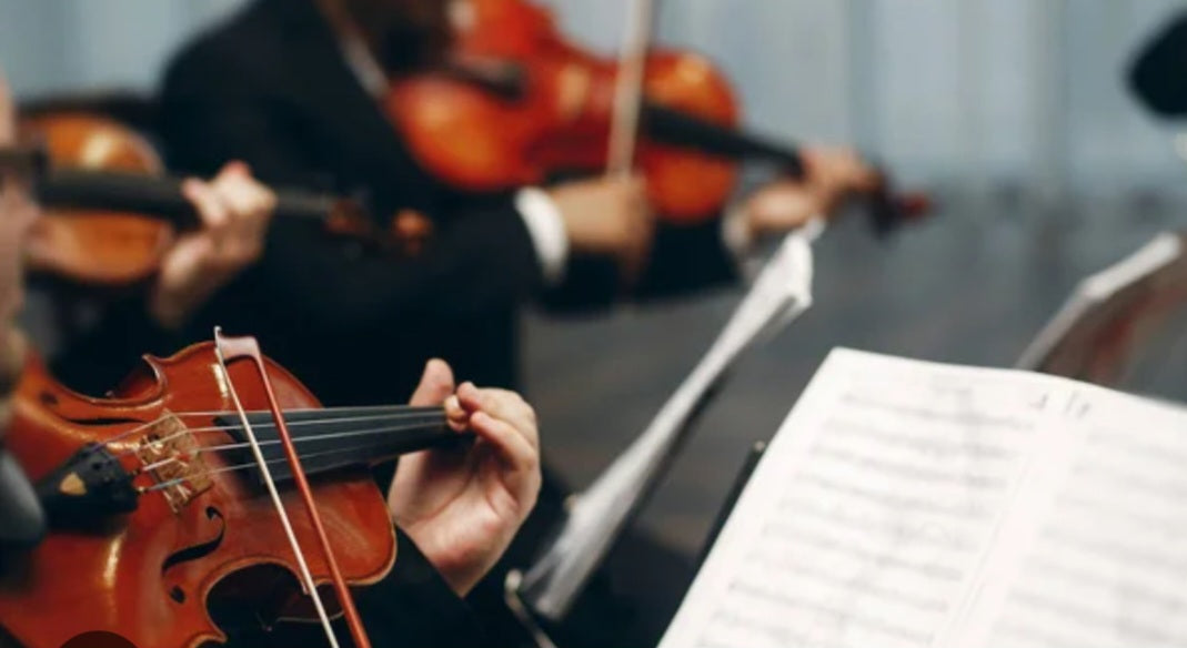 Archangel Christmas Music Instruments – Carisma Florists, Mississauga ON