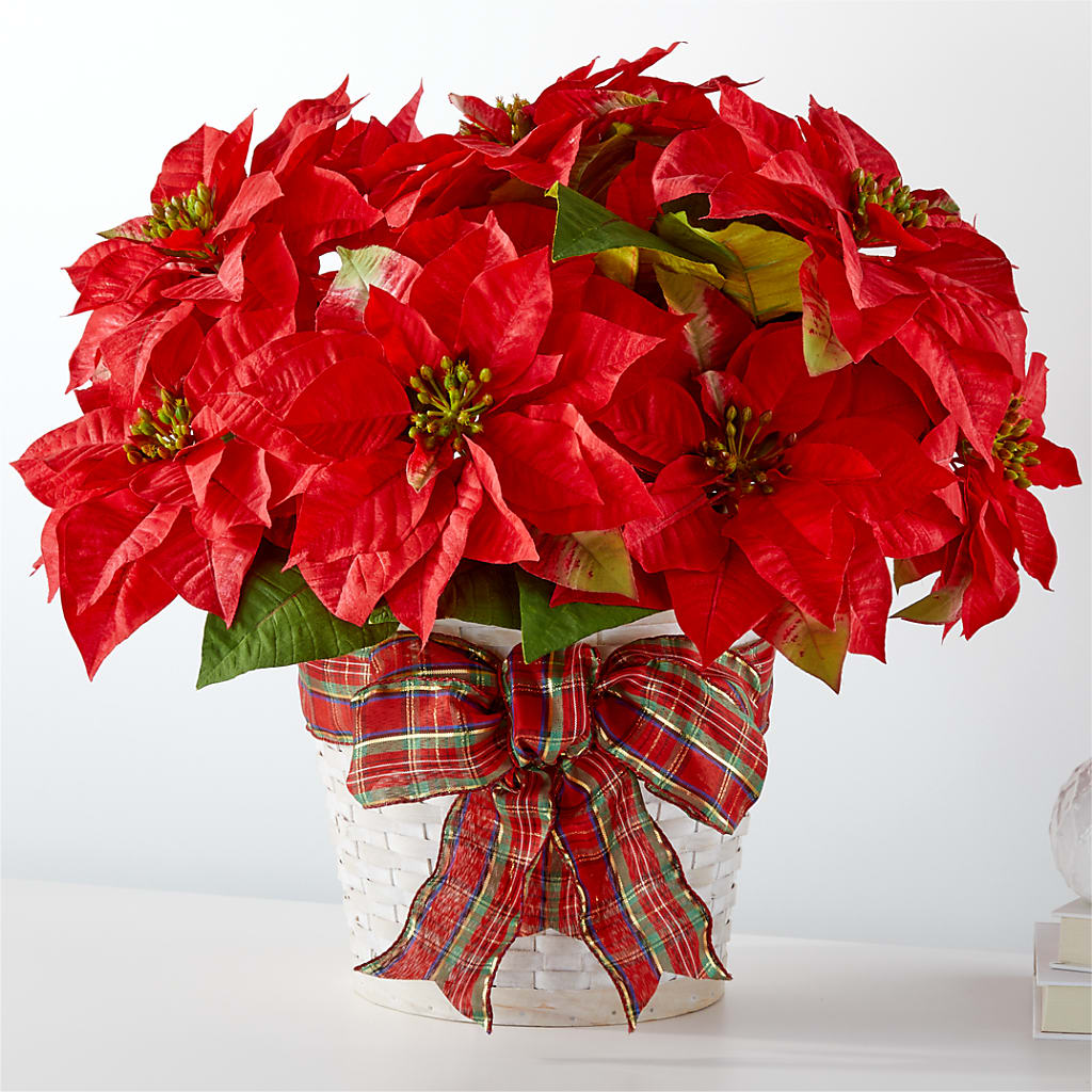 Happiest Holidays Poinsettia – Carisma Florists, Mississauga ON