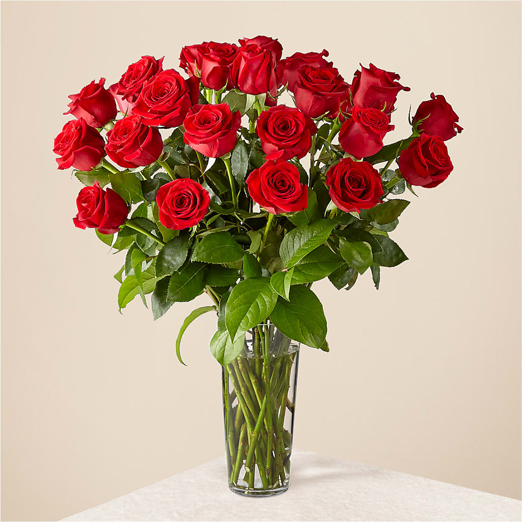 Long Stem Red Rose Bouquet – Carisma Florists, Mississauga ON
