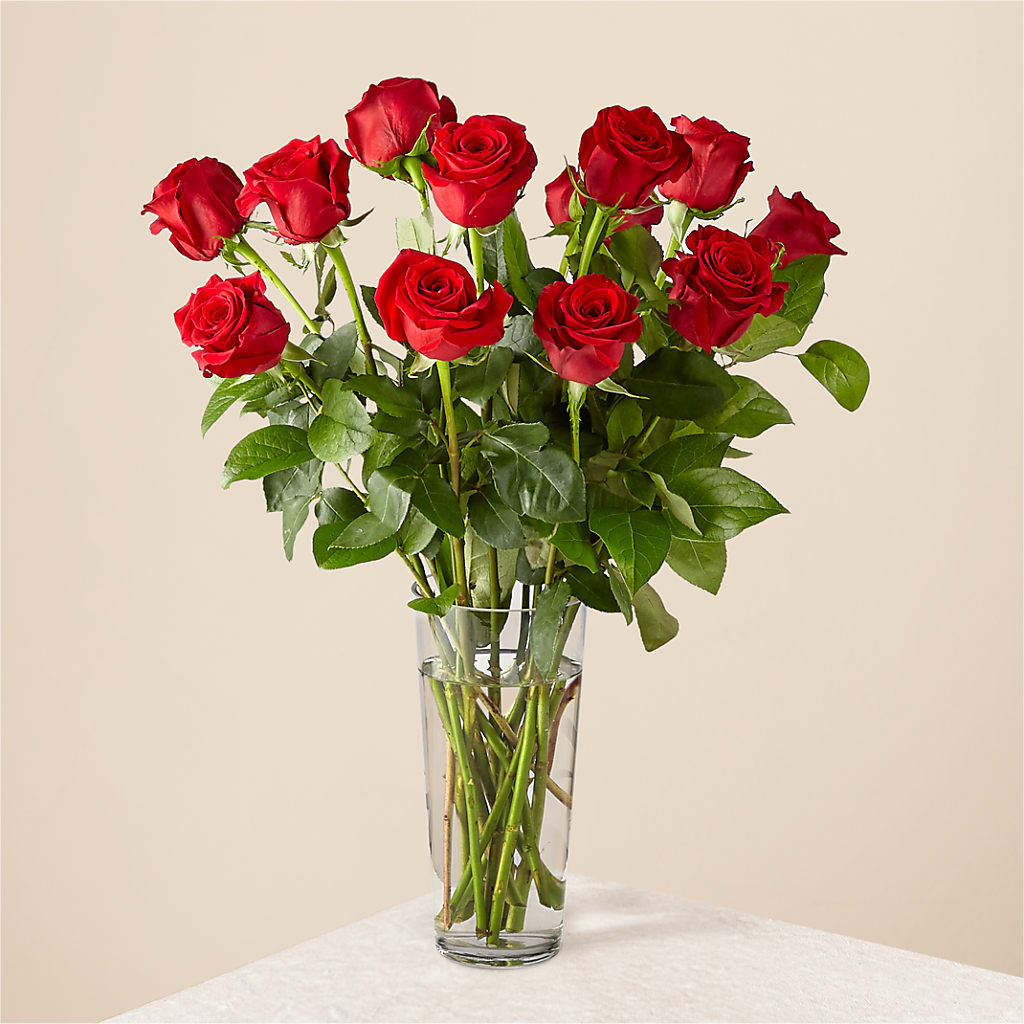 Long Stem Red Rose Bouquet – Carisma Florists, Mississauga ON