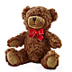 Adorable Plush Bear – Carisma Florists, Mississauga ON