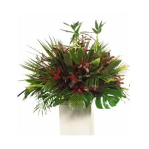 CARISMA FLORISTS® Exotic All Green Container