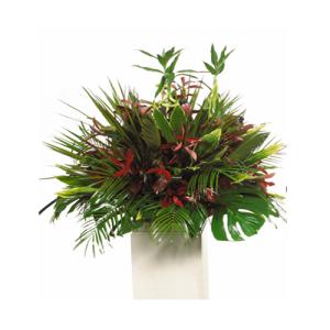 CARISMA FLORISTS® Exotic All Green Container