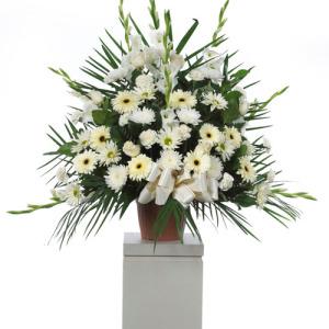 CARISMA FLORISTS® Roses blanches Contenant 4