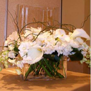 Gamme Fantasia de Carisma Florists®
