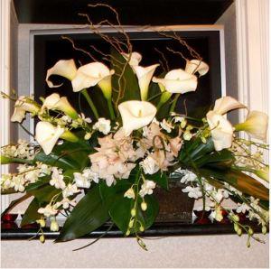 Fleuristes Carisma® Devinette