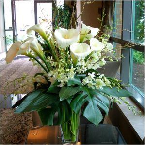 Fleuristes Carisma® Freshana