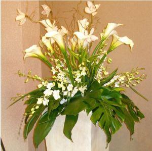 Carisma Florists® It's a Wonderful Day – Carisma Florists, Mississauga ON