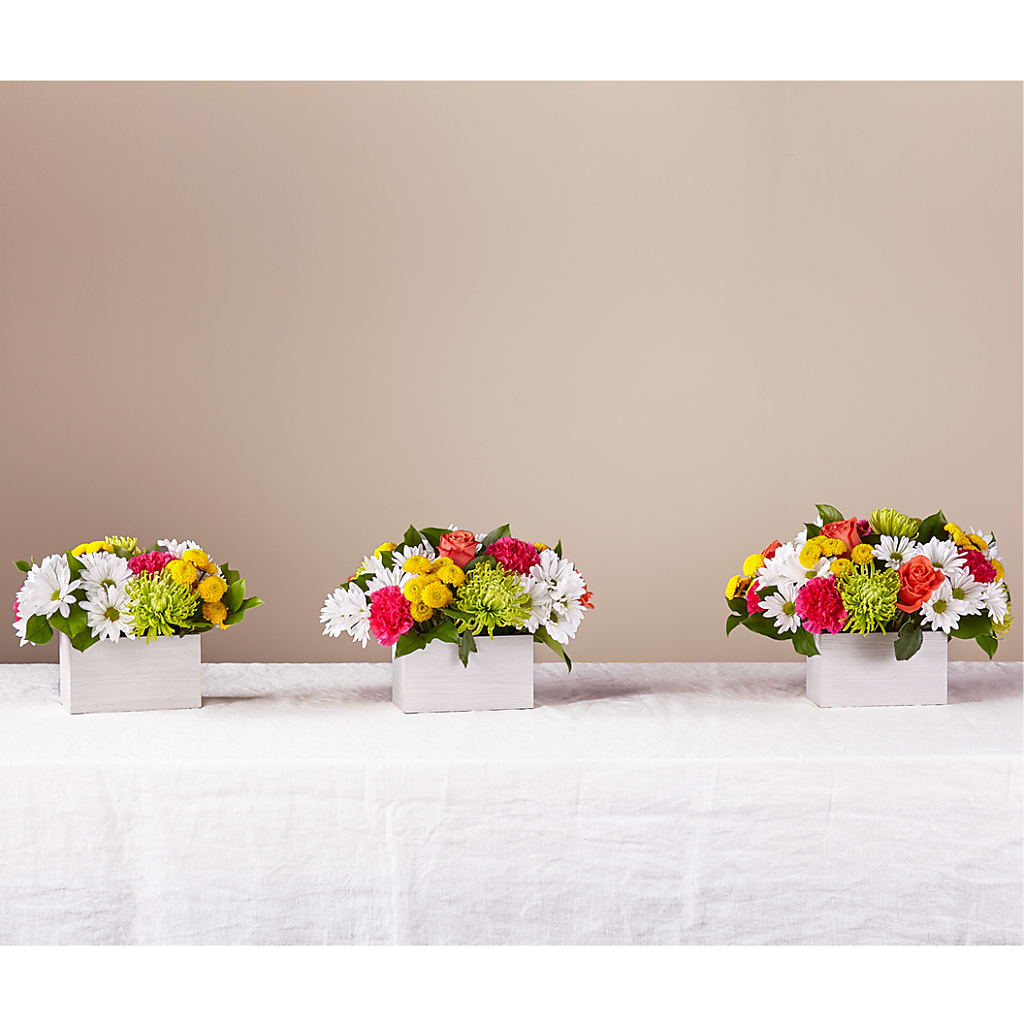 Sorbet Bouquet – Carisma Florists, Mississauga ON