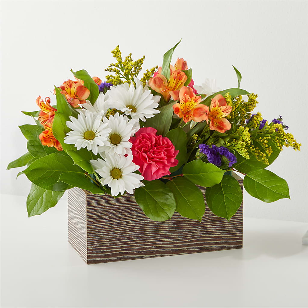 Oopsie Daisy Box Bouquet – Carisma Florists, Mississauga ON