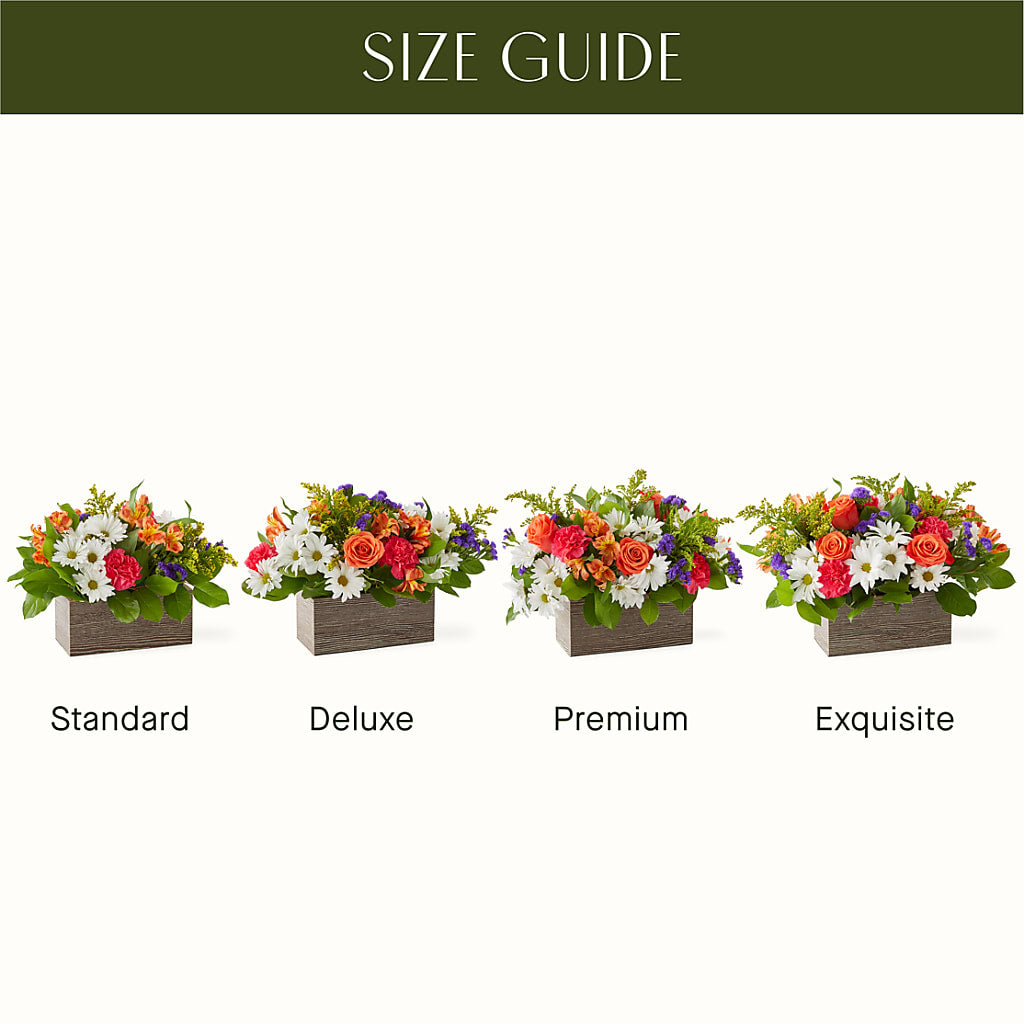 Oopsie Daisy Box Bouquet – Carisma Florists, Mississauga ON
