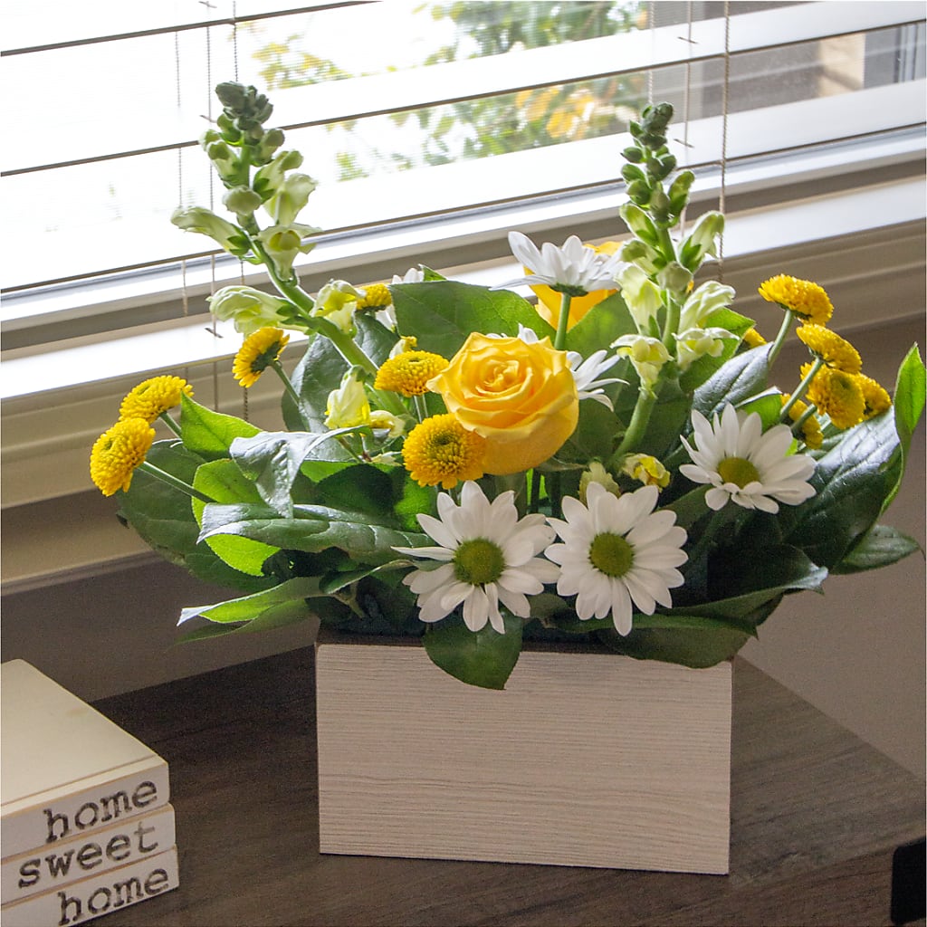 Sun Salutation Box Bouquet – Carisma Florists, Mississauga ON