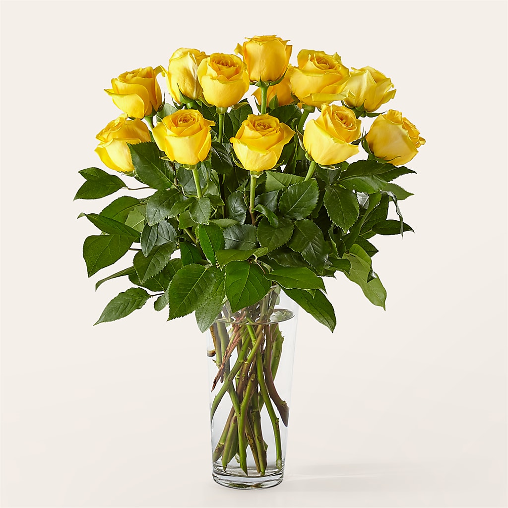 Long Stem Yellow Rose Bouquet – Carisma Florists, Mississauga ON