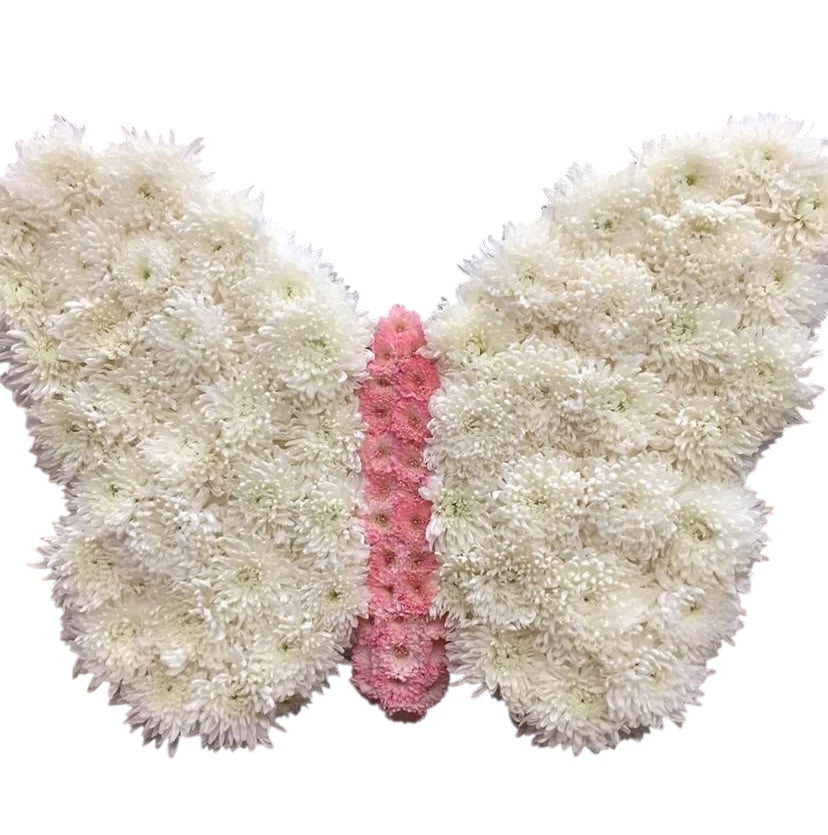 ELEGANT BUTTERFLY
