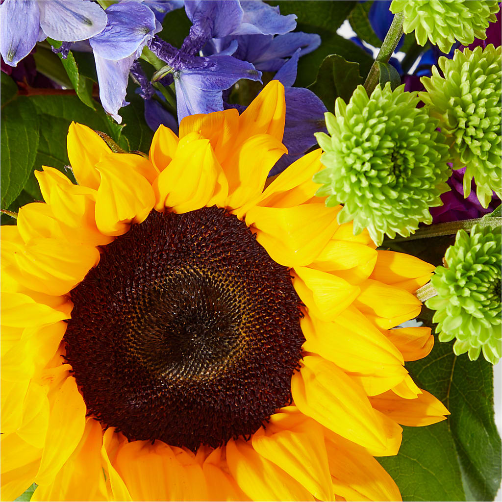 Catching Rays Bouquet – Carisma Florists, Mississauga ON