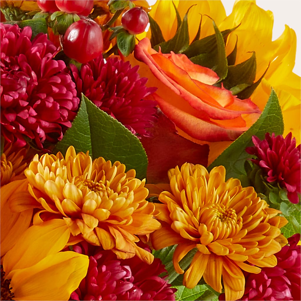 Sweater Season - A Florist Original – Carisma Florists, Mississauga ON