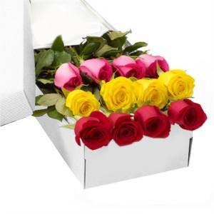 MIXED ROSES BOXED – Carisma Florists, Mississauga ON