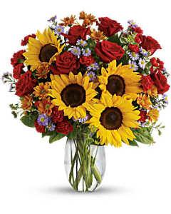 Pure Happiness – Carisma Florists, Mississauga ON