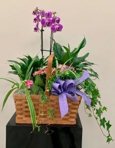 ASSORTED PLANTER – Carisma Florists, Mississauga ON
