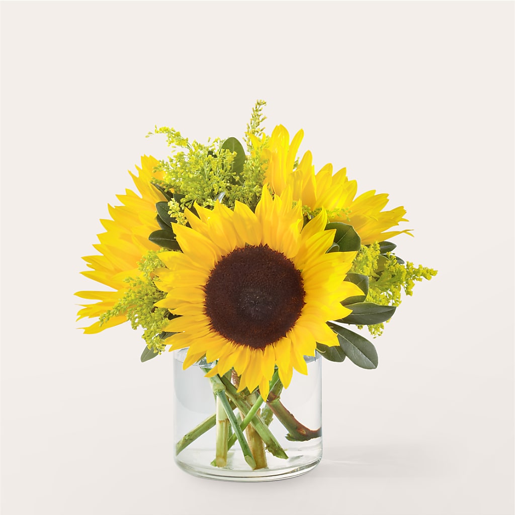 Beaming Sunflower Bouquet – Carisma Florists, Mississauga ON