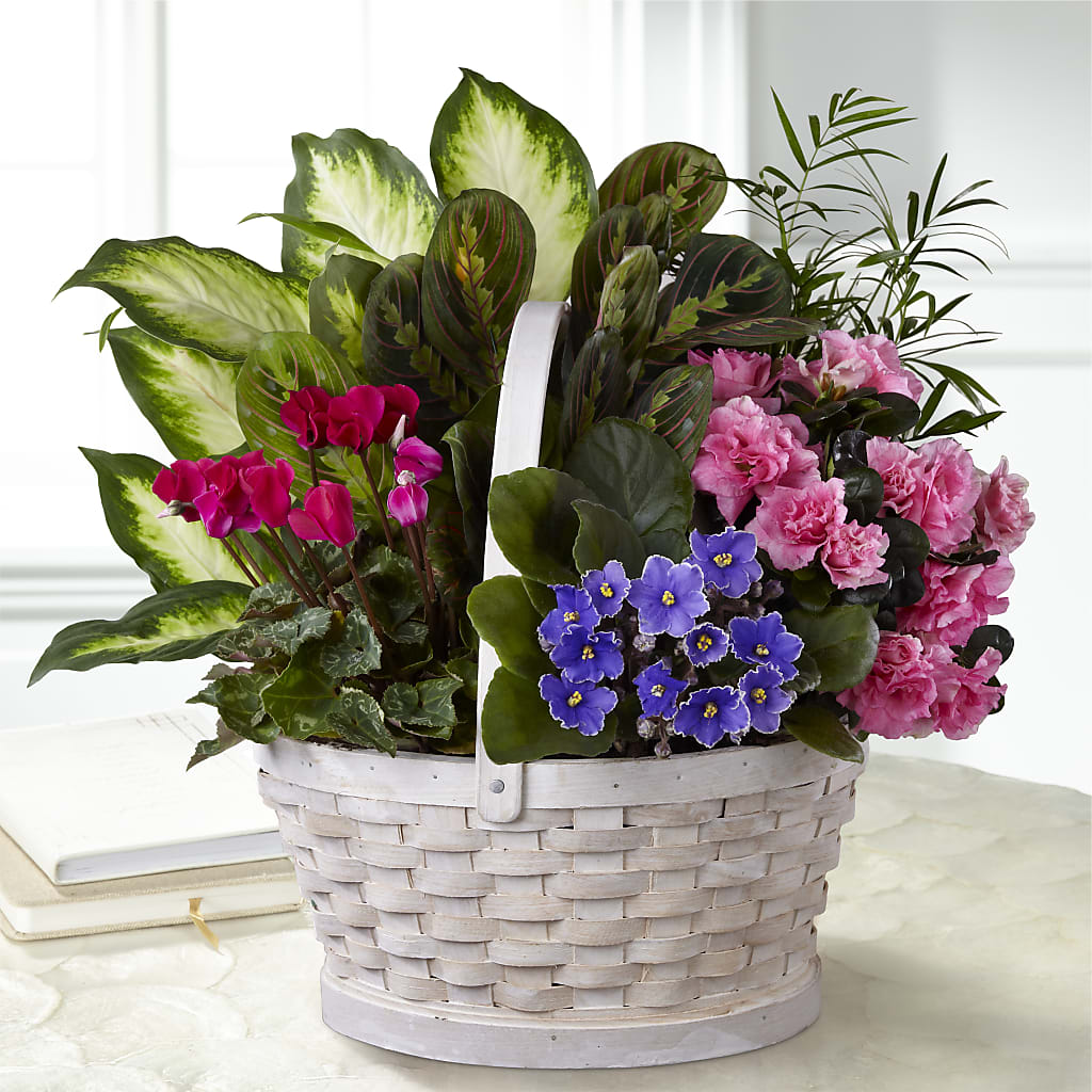 Peaceful Garden Planter – Carisma Florists, Mississauga ON