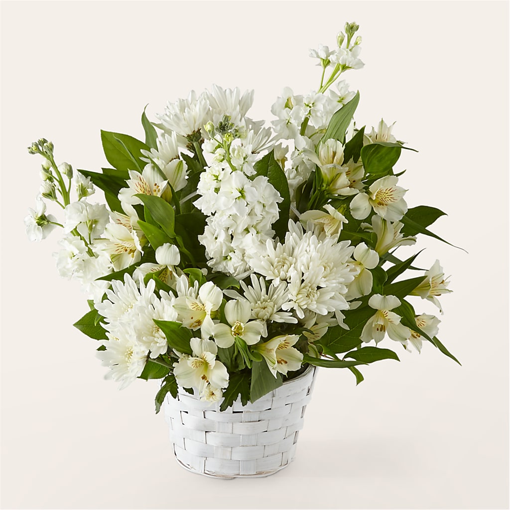 Eternal Affection Arrangement – Carisma Florists, Mississauga ON