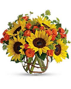 Sunny Sunflowers – Carisma Florists, Mississauga ON