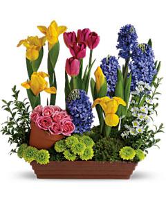 Spring Favorites – Carisma Florists, Mississauga ON