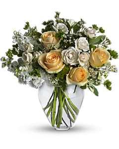 Celestial Love – Carisma Florists, Mississauga ON