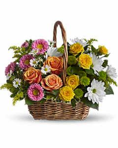 Sweet Tranquility Basket – Carisma Florists, Mississauga ON