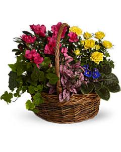 Panier de jardin fleuri
