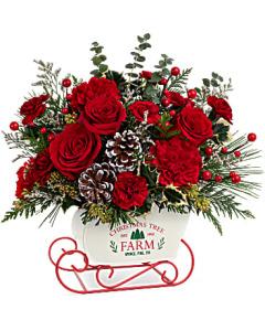 Teleflora's Snow What Fun Bouquet – Carisma Florists, Mississauga ON