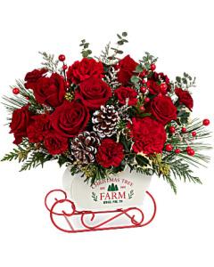 Teleflora's Snow What Fun Bouquet – Carisma Florists, Mississauga ON