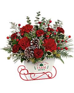 Teleflora's Snow What Fun Bouquet – Carisma Florists, Mississauga ON