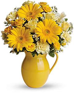 Teleflora's Sunny Day Pitcher of Cheer – Carisma Florists, Mississauga ON