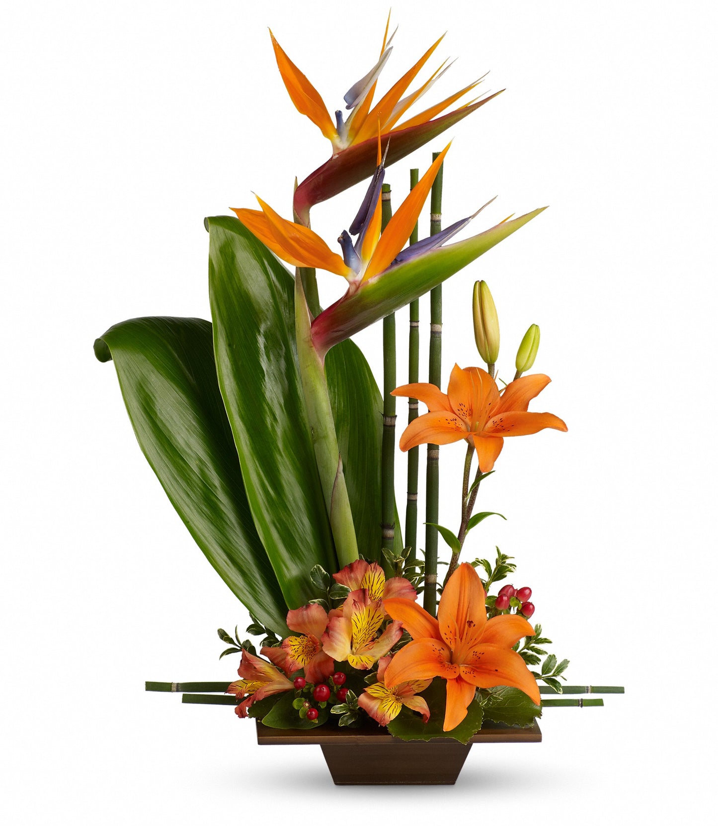 Exotic Grace – Carisma Florists, Mississauga ON