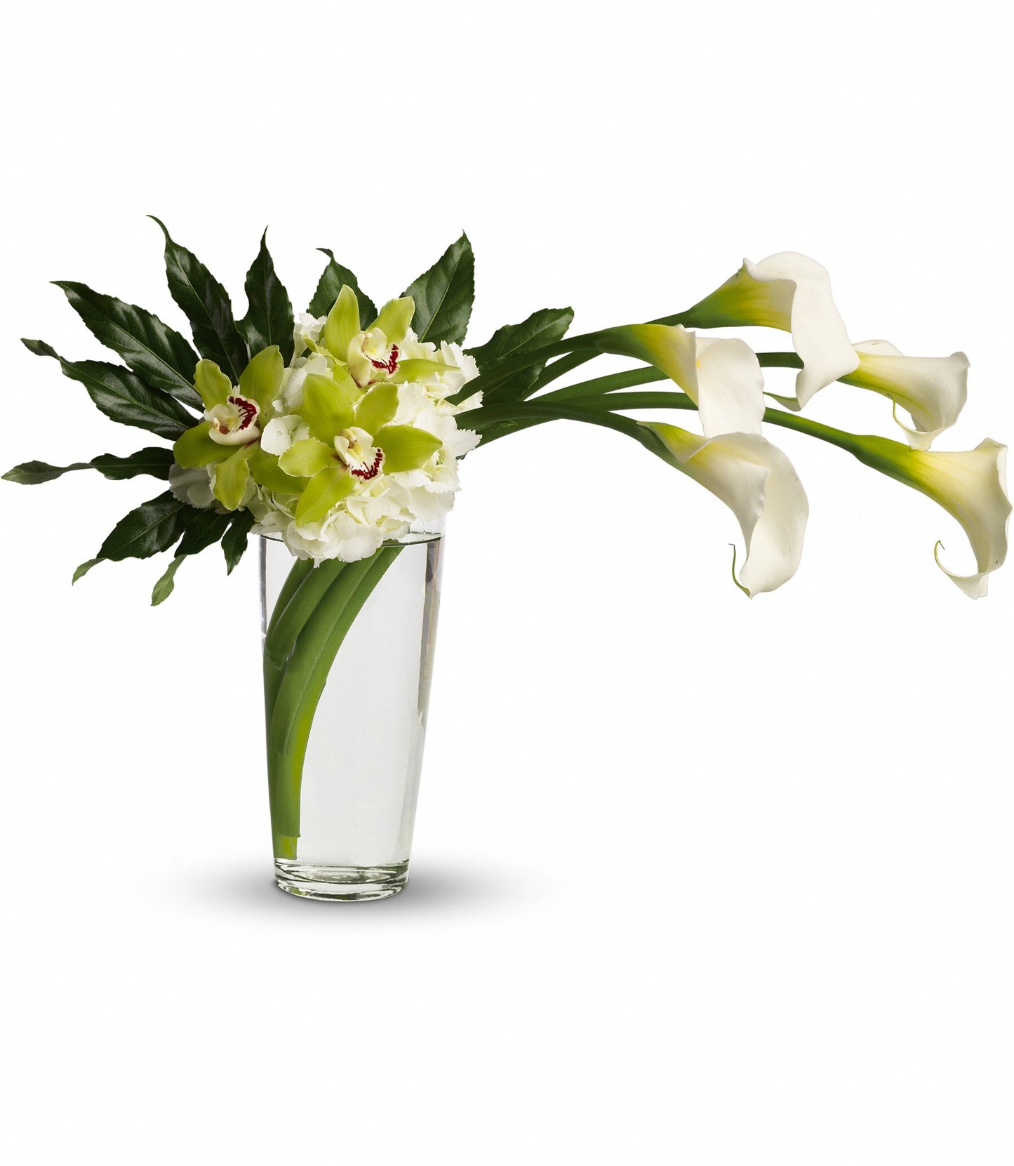 Moondance – Carisma Florists, Mississauga ON