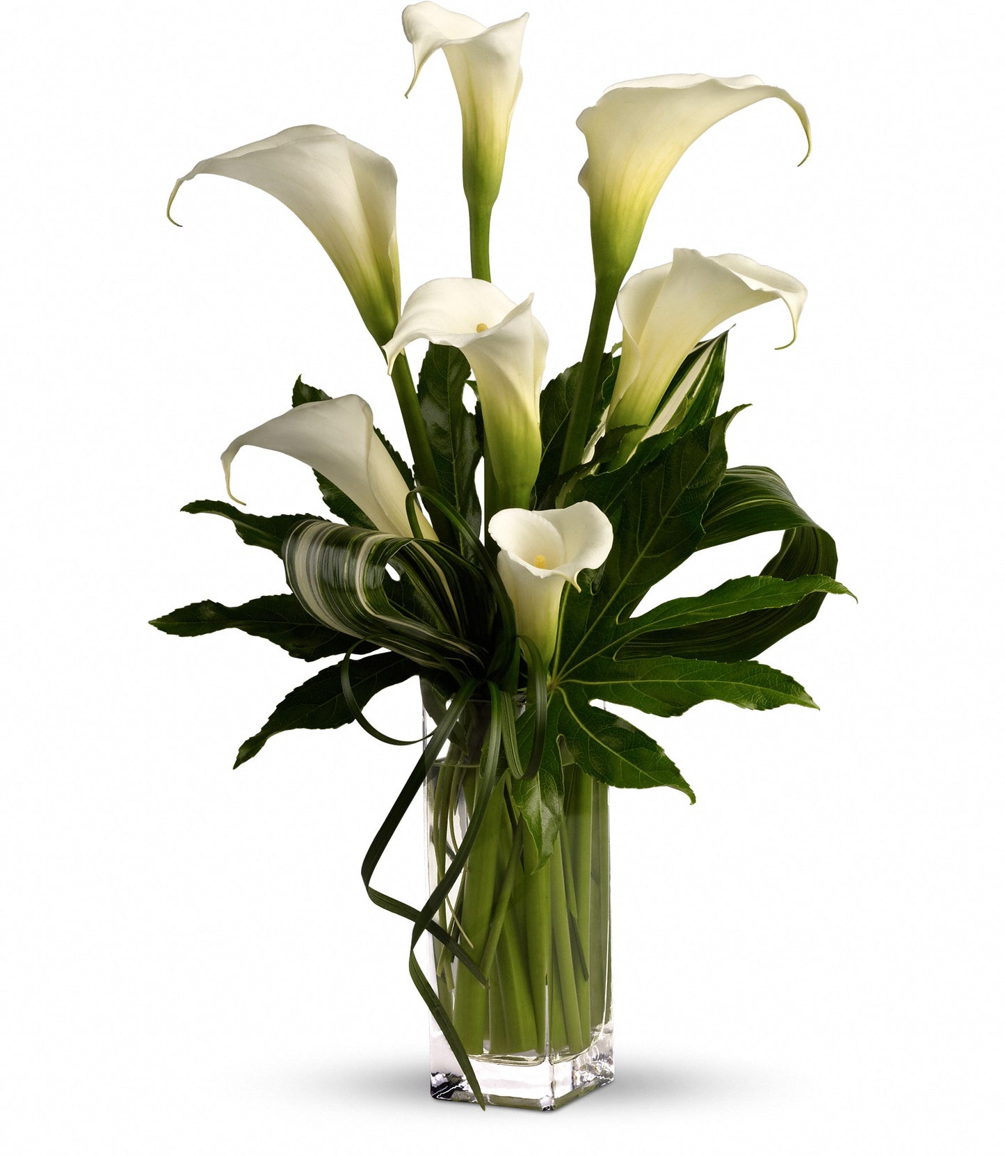 My Fair Lady – Carisma Florists, Mississauga ON