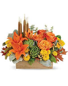 Teleflora's Fall Bamboo Garden – Carisma Florists, Mississauga ON