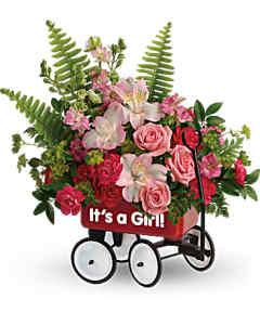 Teleflora's Welcome Beautiful Bouquet – Carisma Florists, Mississauga ON