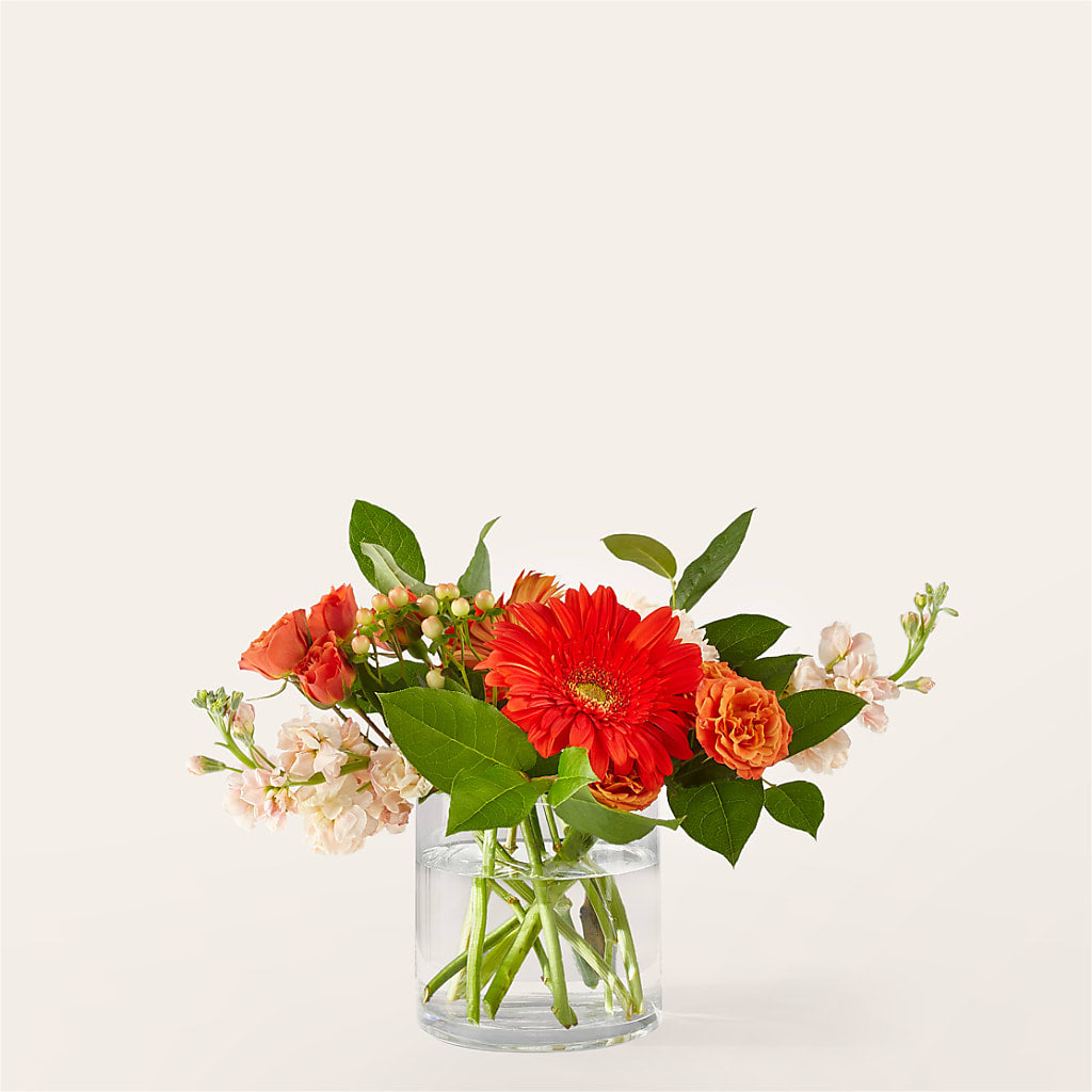 Paloma Please Bouquet – Carisma Florists, Mississauga ON