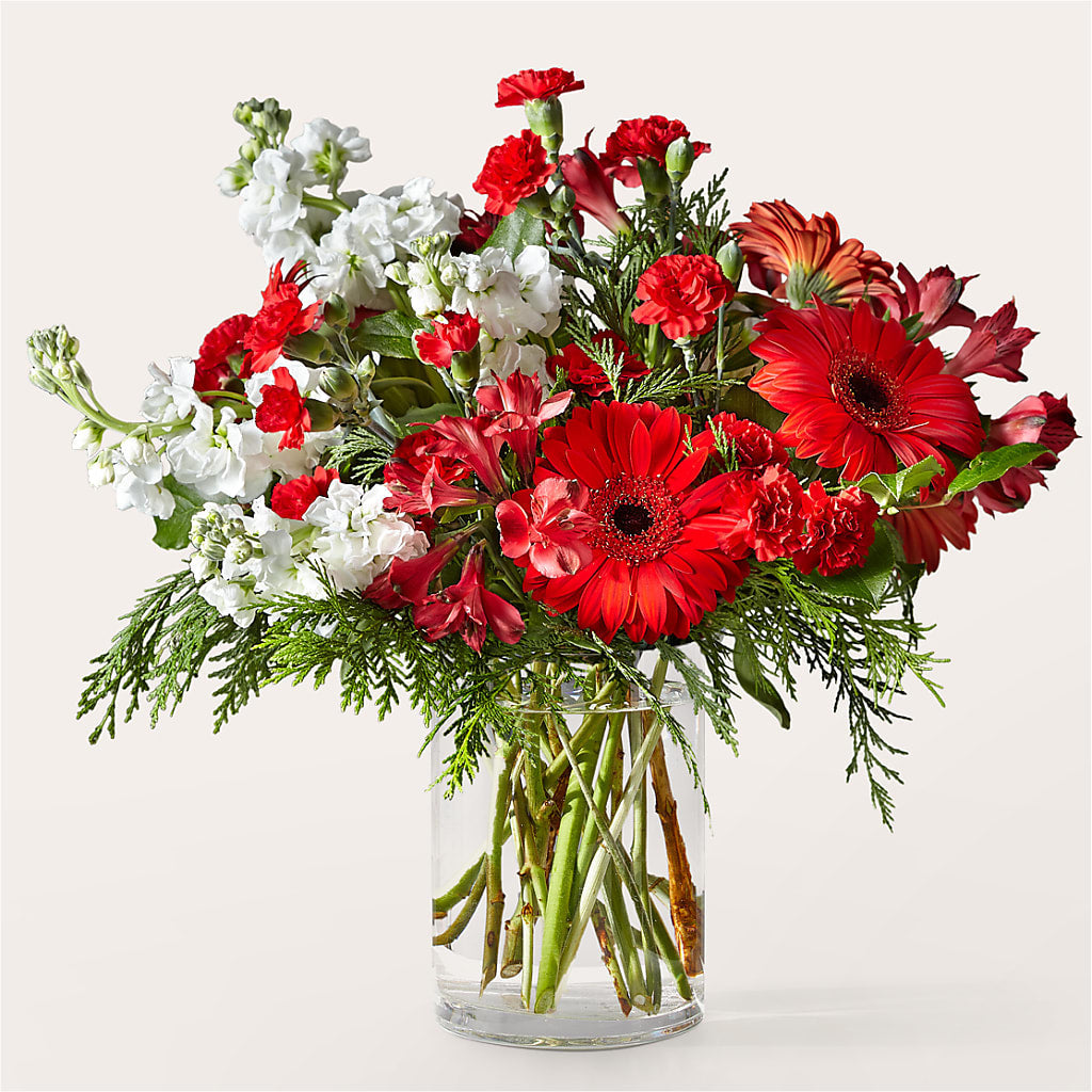 Holidaisy Bouquet – Carisma Florists, Mississauga ON