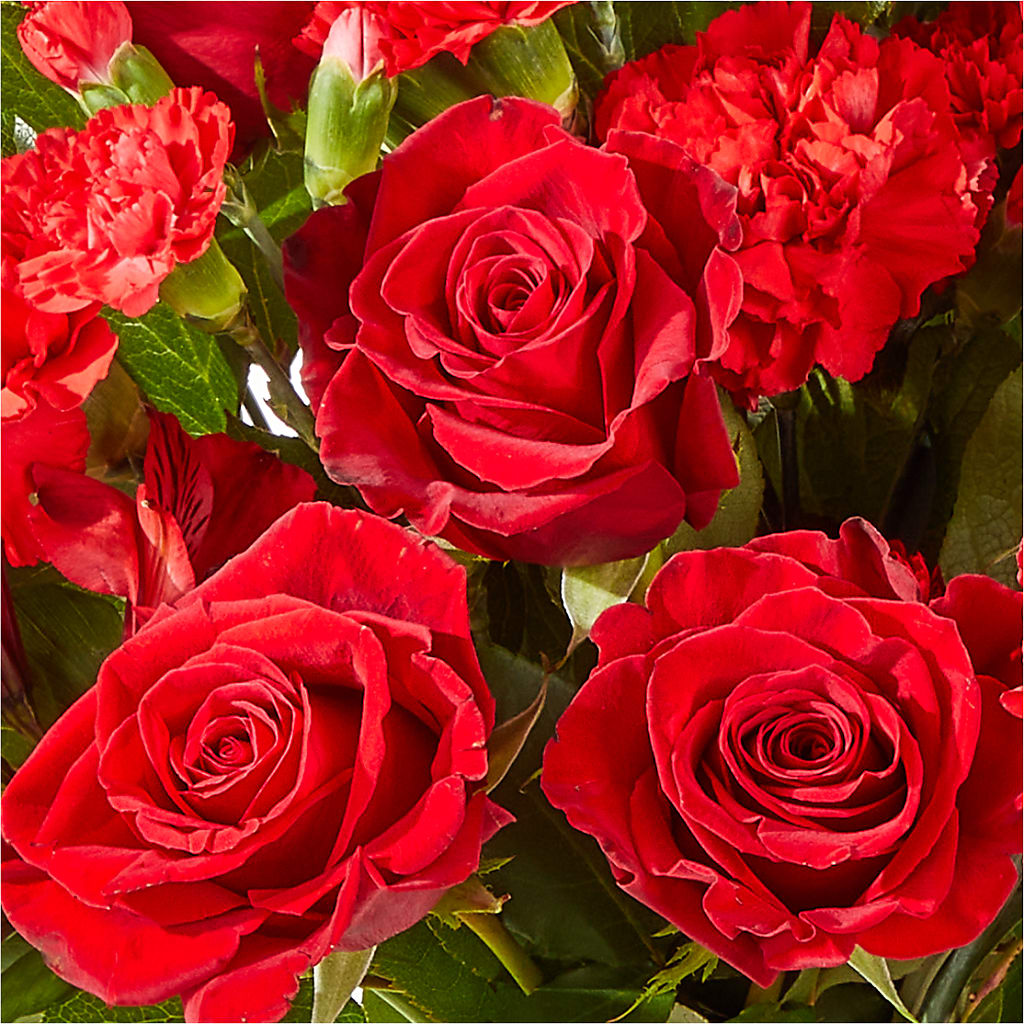 The Heartstrings Bouquet – Carisma Florists, Mississauga ON
