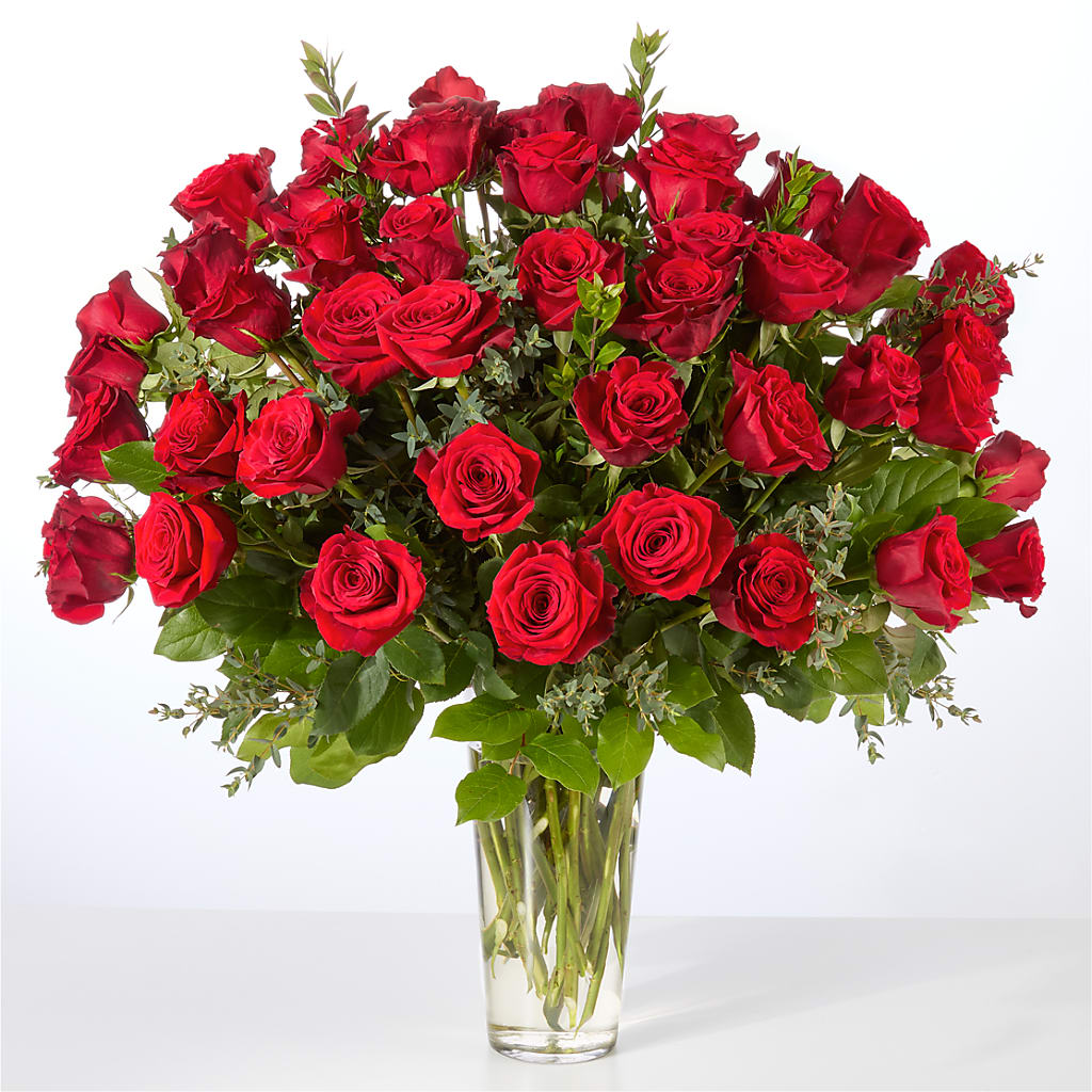 Forever Yours Fifty Stem Red Rose Bouquet – Carisma Florists, Mississauga ON