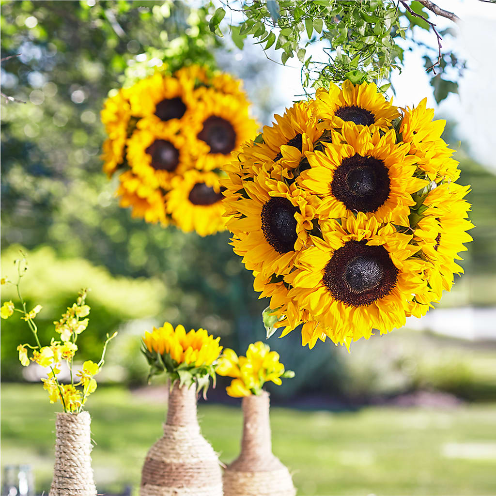 Sublime Garden Hanging Arrangement – Carisma Florists, Mississauga ON