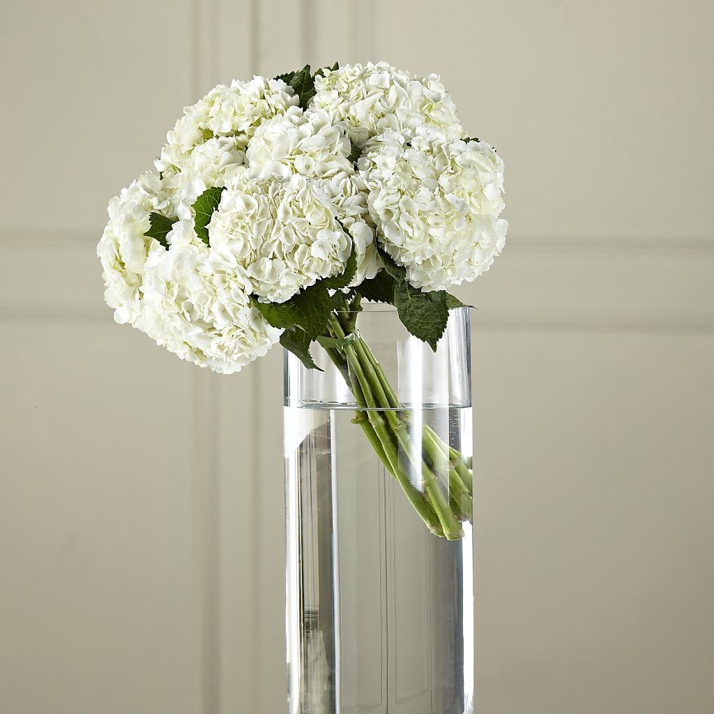 White Hydrangea Hand-Tied Bouquet – Carisma Florists, Mississauga ON