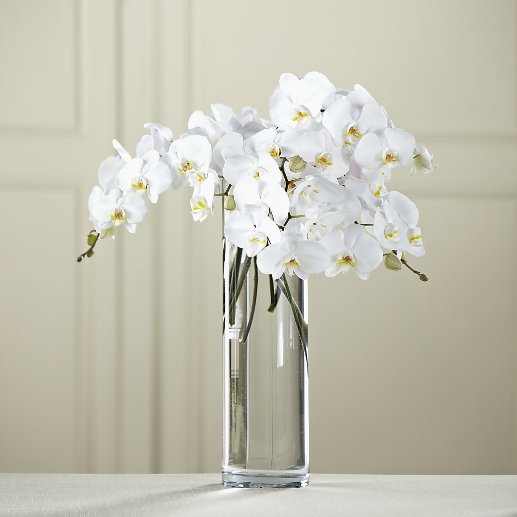 White Phalaenopsis Bouquet – Carisma Florists, Mississauga ON
