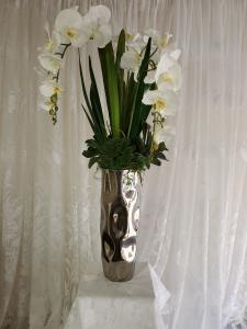 Phalanopsis Orchid Arrangement –  Carisma Florists, Mississauga ON