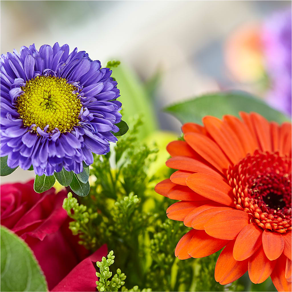 Bold & Bright – A Florist Original –  Carisma Florists, Mississauga ON