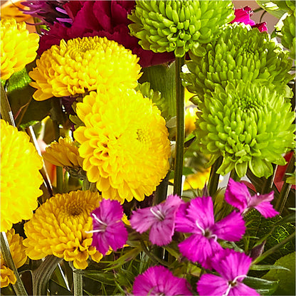 Bold & Bright – A Florist Original –  Carisma Florists, Mississauga ON